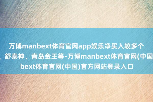 万博manbext体育官网app娱乐净买入较多个股差别是利欧股份、舒泰神、青岛金王等-万博manbext体育官网(中国)官方网站登录入口