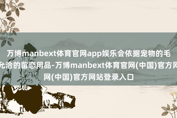 万博manbext体育官网app娱乐会依据宠物的毛发特质挑选允洽的留恋用品-万博manbext体育官网(中国)官方网站登录入口