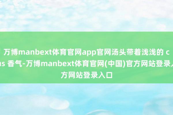 万博manbext体育官网app官网汤头带着浅浅的 citrus 香气-万博manbext体育官网(中国)官方网站登录入口