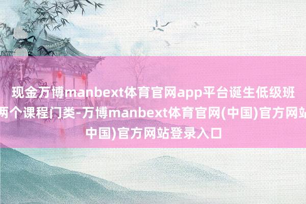 现金万博manbext体育官网app平台诞生低级班、高档班两个课程门类-万博manbext体育官网(中国)官方网站登录入口