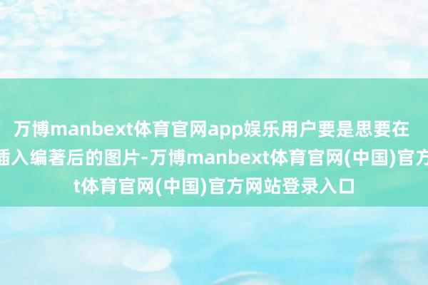 万博manbext体育官网app娱乐用户要是思要在 OneNote 中插入编著后的图片-万博manbext体育官网(中国)官方网站登录入口