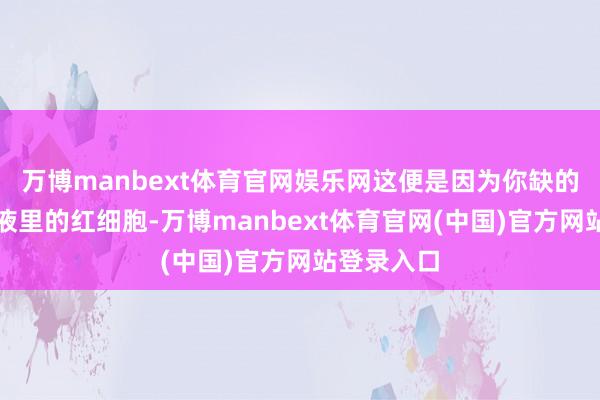 万博manbext体育官网娱乐网这便是因为你缺的不仅仅血液里的红细胞-万博manbext体育官网(中国)官方网站登录入口