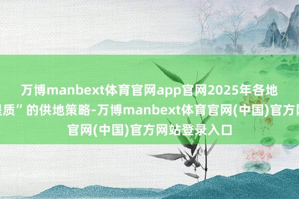 万博manbext体育官网app官网2025年各地保握“缩量提质”的供地策略-万博manbext体育官网(中国)官方网站登录入口
