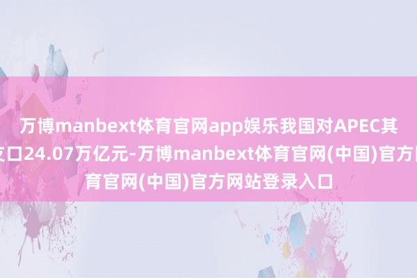 万博manbext体育官网app娱乐我国对APEC其他经济体收支口24.07万亿元-万博manbext体育官网(中国)官方网站登录入口